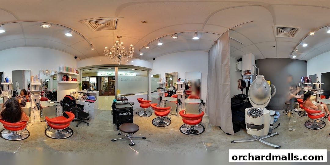 LOréal Professionnel Salon - Hair Sense Gallery Hairdressing