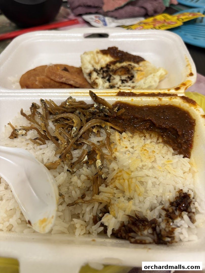 A takeaway container filled with Nasi Lemak, featuring rice, fried anchovies, and a fried egg.