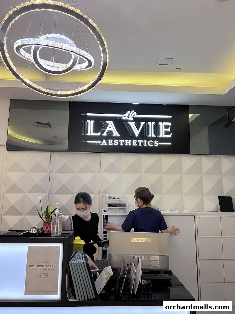 La Vie Aesthetics
