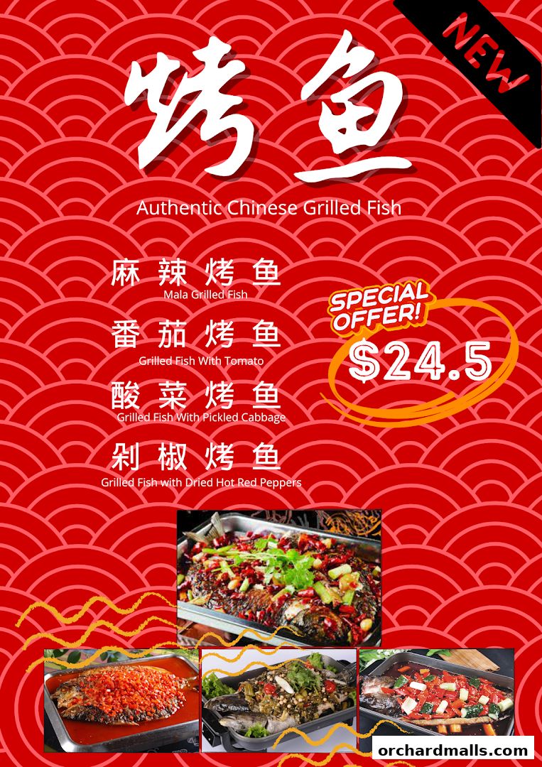 A menu featuring authentic Chinese grilled fish with various flavor options and a special offer.