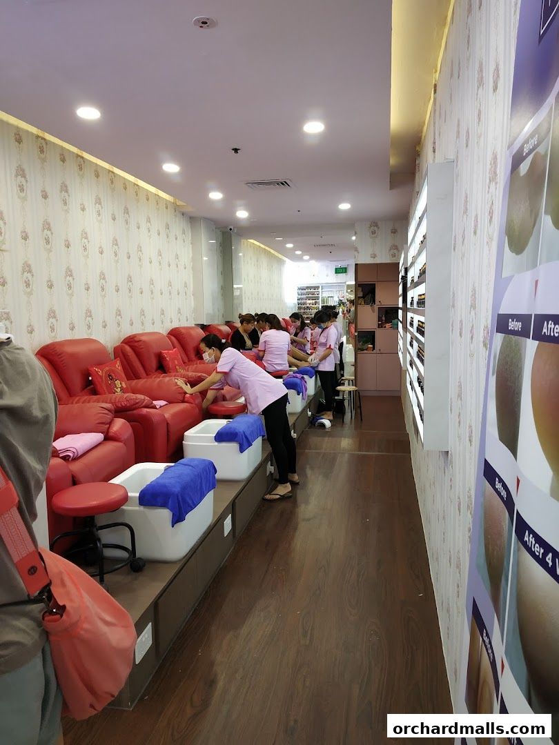 Ladies Bella - Nails, Lashes, Eyebrows