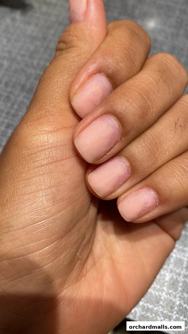 Ladies Bella - Nails, Lashes, Eyebrows