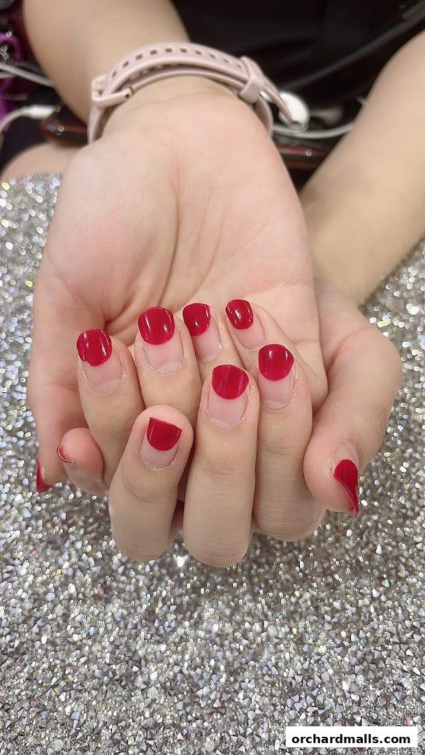 Ladies Bella - Nails, Lashes, Eyebrows