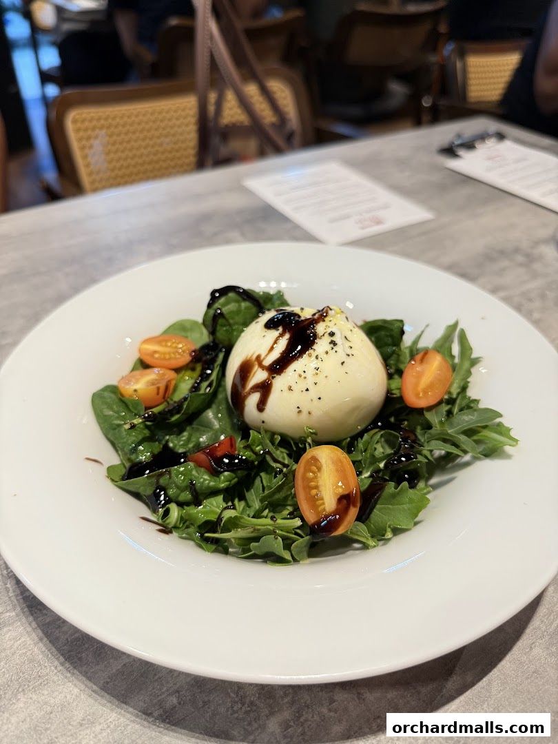 A fresh burrata salad with cherry tomatoes and balsamic glaze on a white plate.