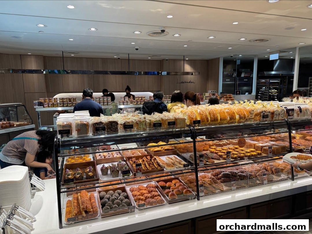 A wide display of freshly baked breads, pastries, and cakes at Lavender Bakery.