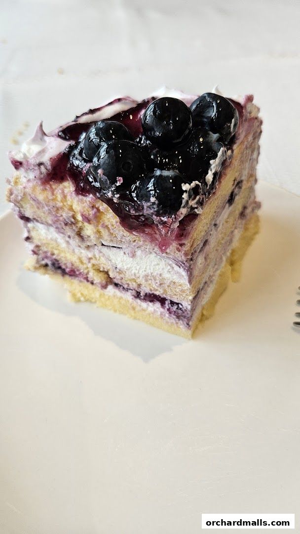 A slice of layered blueberry cake with fresh blueberries and cream on a white plate.