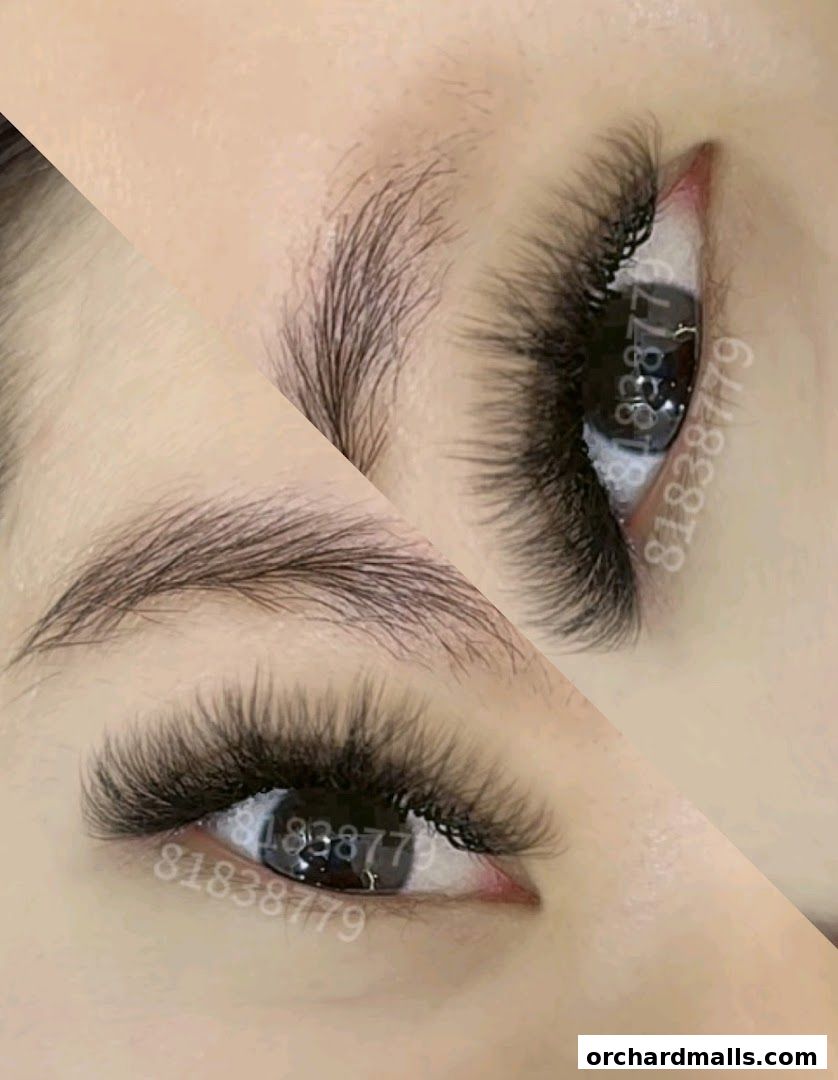 Layla Lash Brow Far East Plaza Orchard Singapore