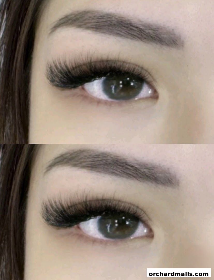 Layla Lash Brow Far East Plaza Orchard Singapore