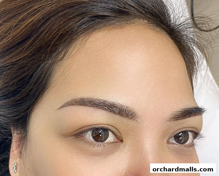 Layla Lash Brow Far East Plaza Orchard Singapore