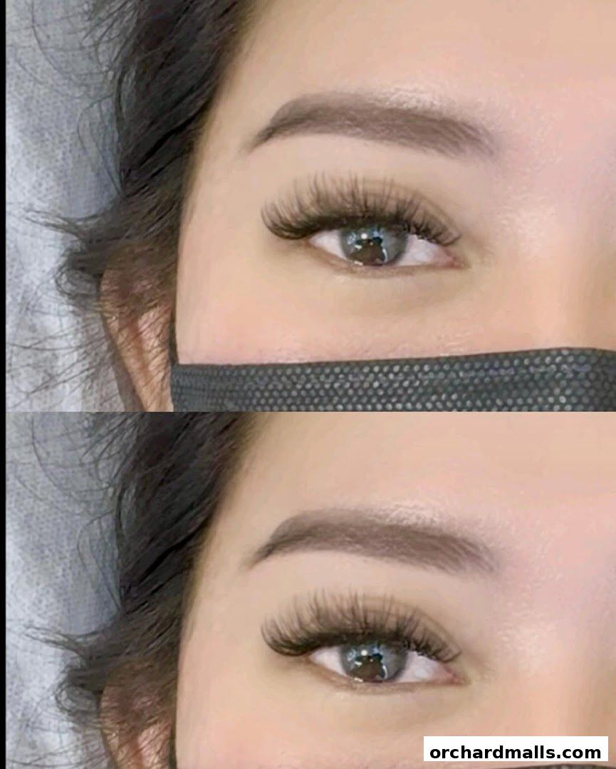 Layla Lash Brow Far East Plaza Orchard Singapore