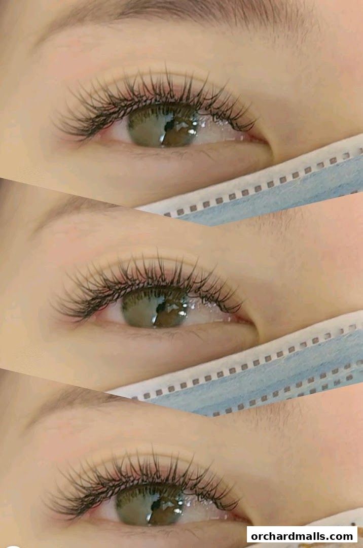 Layla Lash Brow Far East Plaza Orchard Singapore