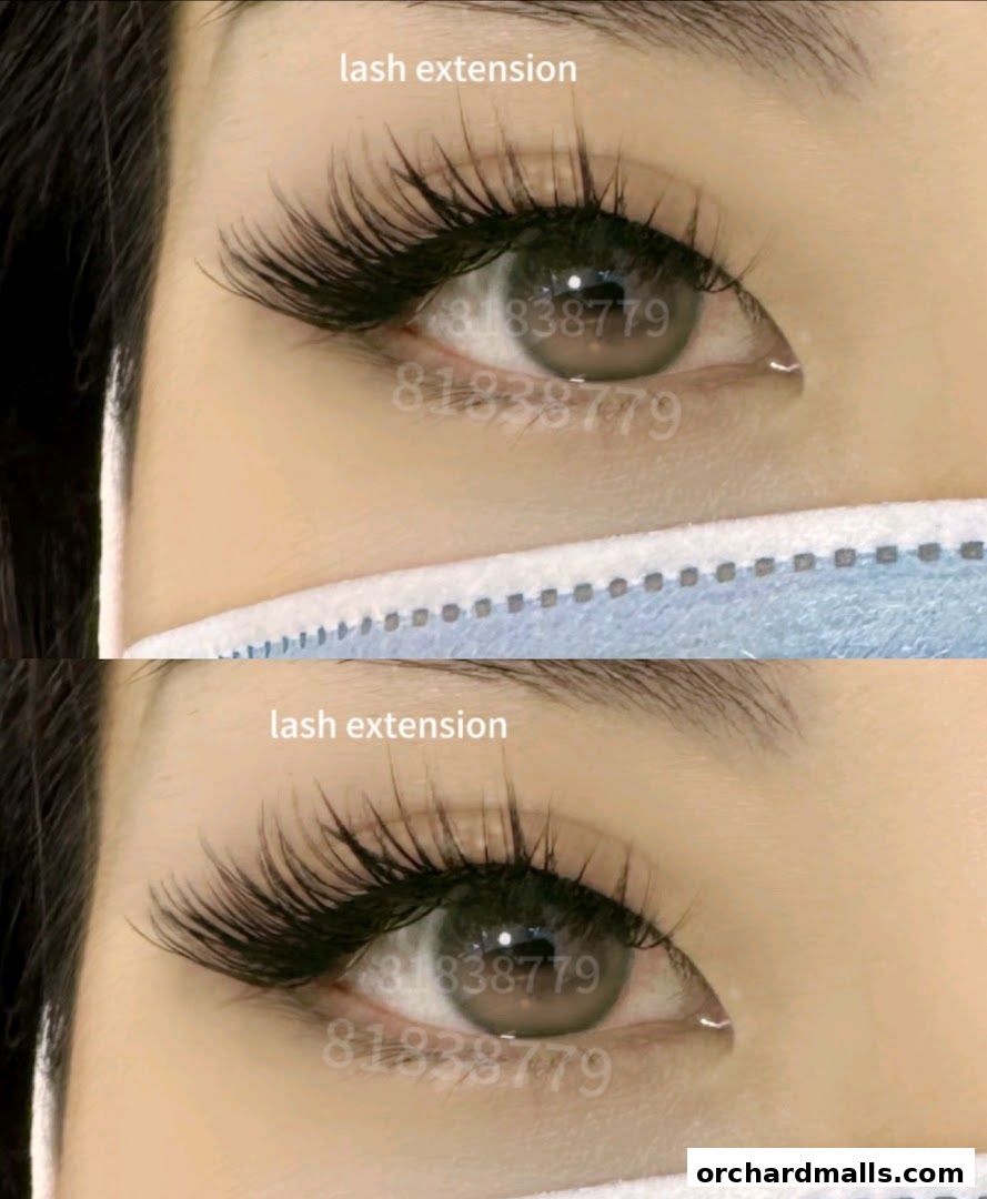 Layla Lash Brow Far East Plaza Orchard Singapore