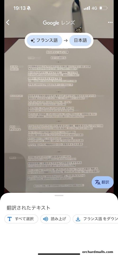 Menu page for Les Amis