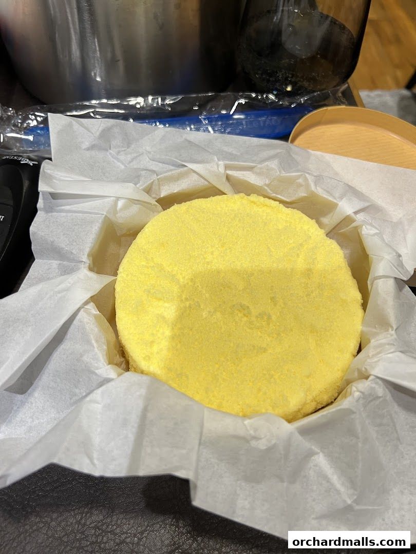 A close-up of a round, yellow cake, possibly a cheesecake, wrapped in white paper.