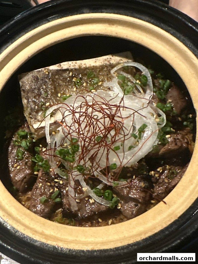 A close-up of a savory dish with tender meat, bone, and garnished with onions and herbs.