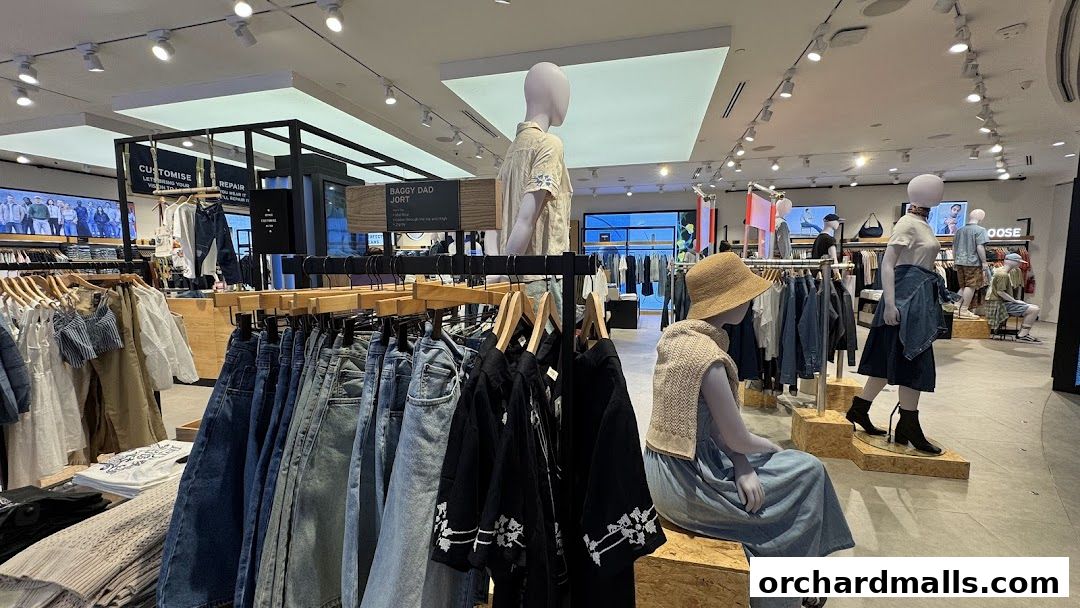 Interior view of a Levi's store showcasing denim jeans, apparel, and mannequins.
