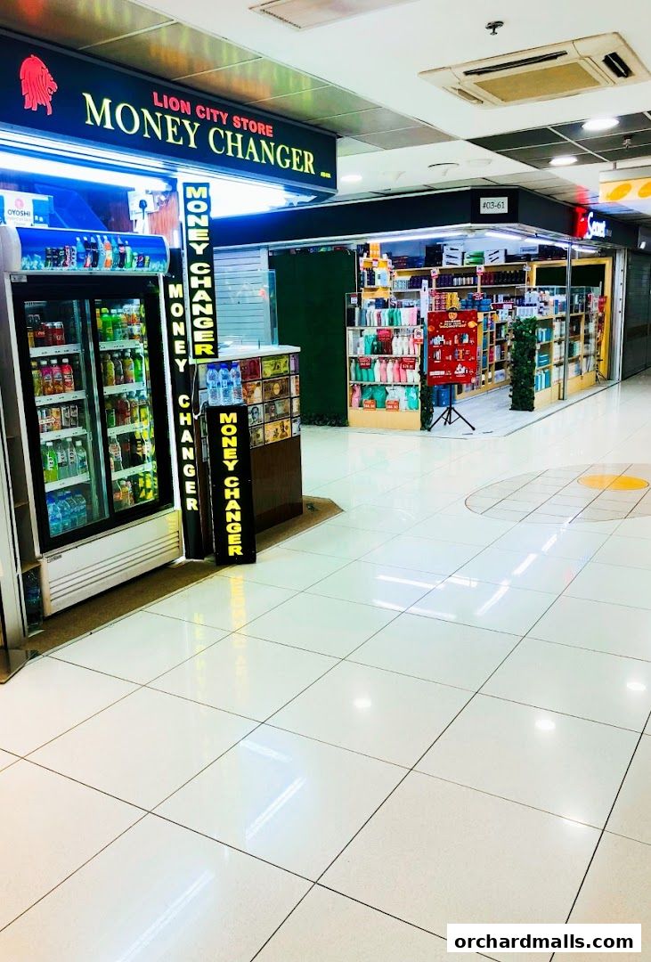 Lion City Money Changer