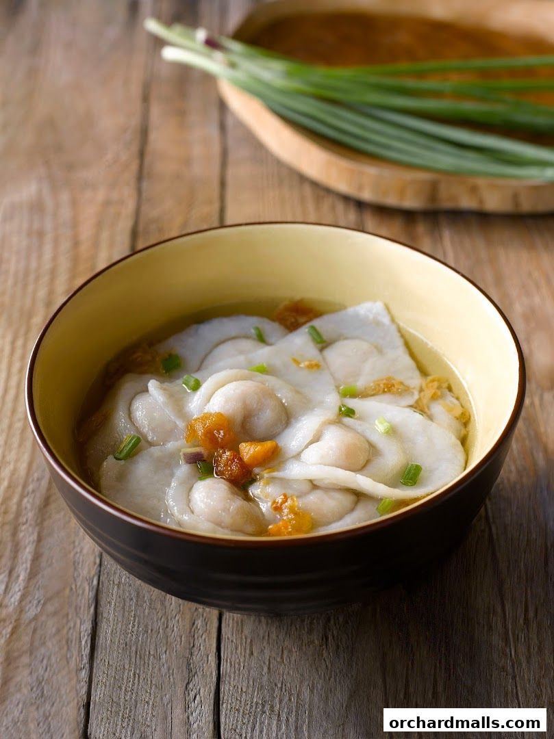 A close-up shot of a steaming bowl of Teochew fishball noodles with garnishes.