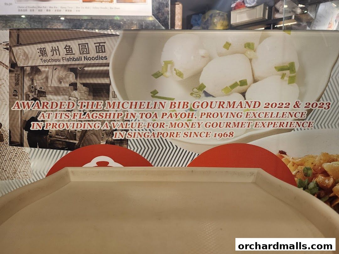 A sign for LiXin Teochew Fishball Noodles highlighting their Michelin Bib Gourmand awards and history.