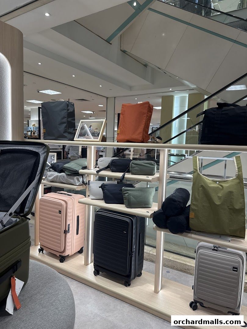 A display of various luggage and bags in different colors and sizes.