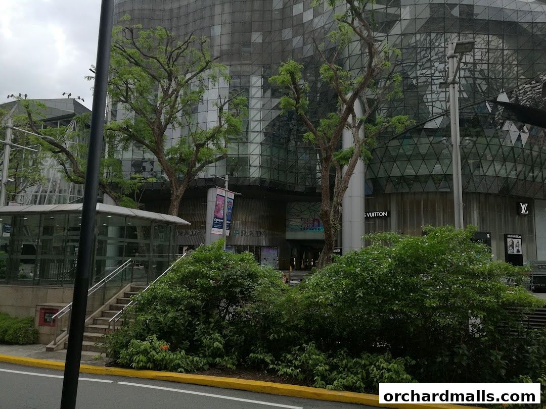 Exterior view of a modern building with shops, including Louis Vuitton and Prada, surrounded by greenery.
