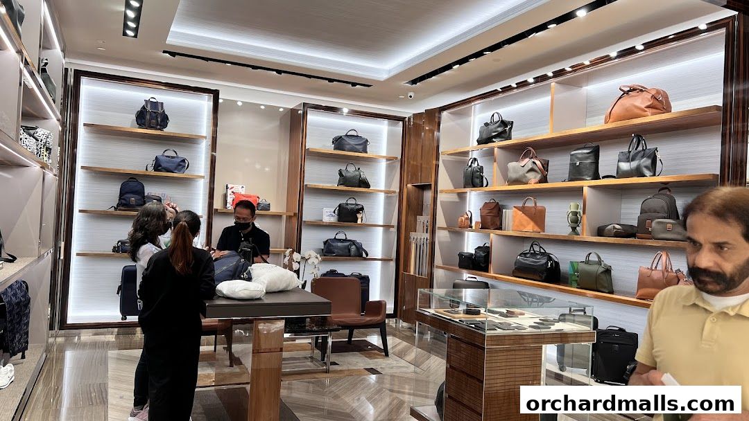 Interior of a Longchamp store showcasing various handbags and travel bags on display shelves.