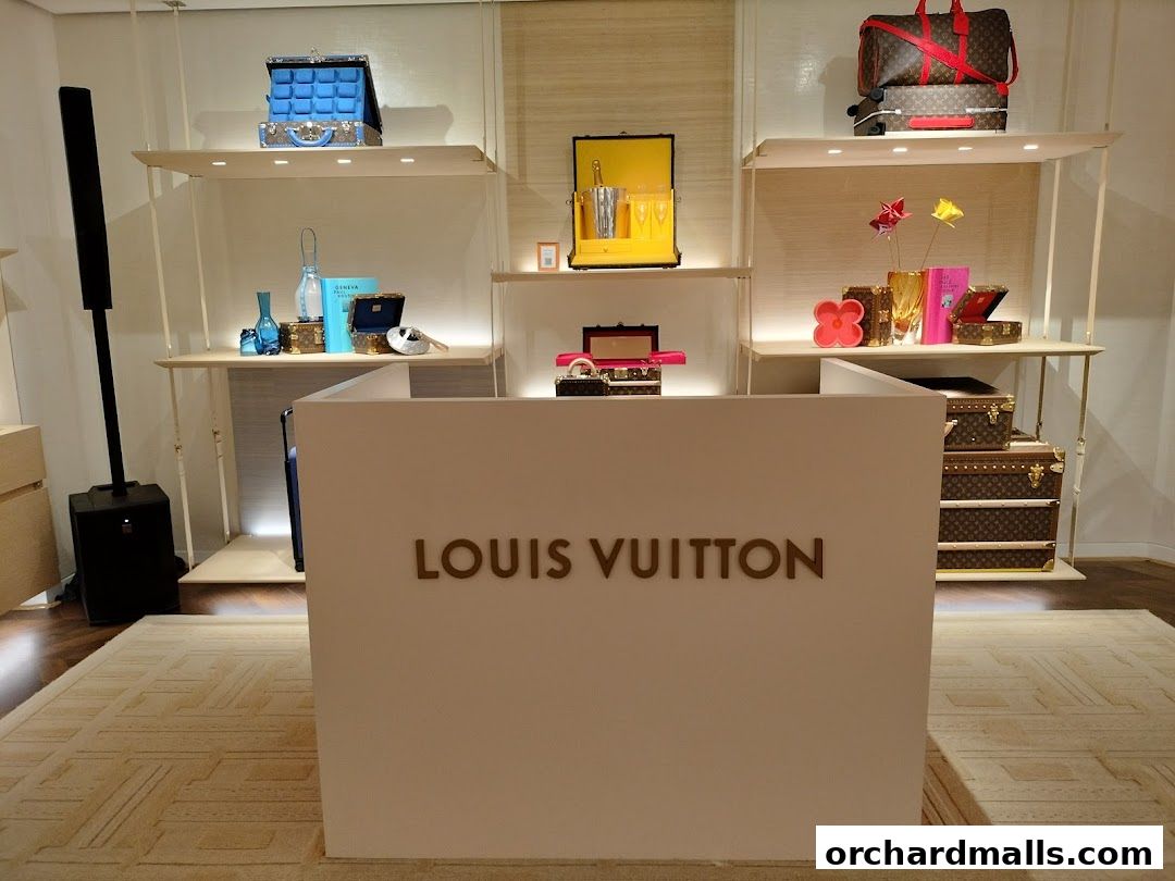 Interior view of a Louis Vuitton store with merchandise displayed on shelves and a counter.