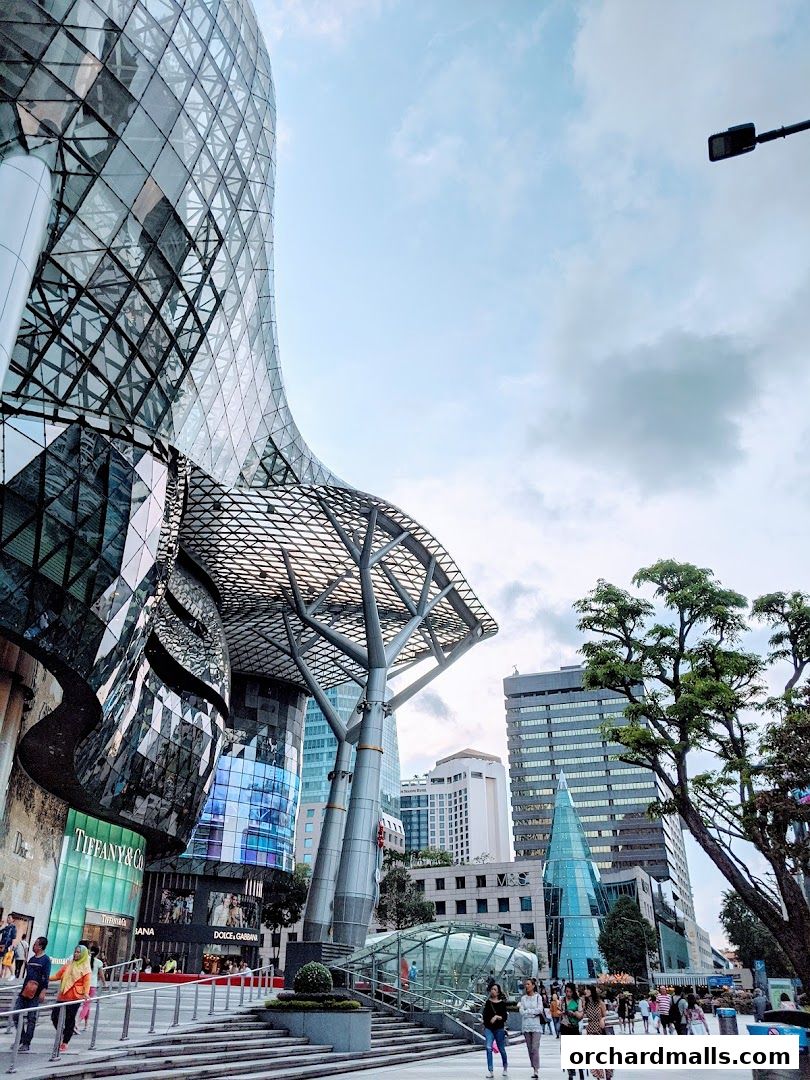 Exterior view of the Louis Vuitton store at Ion Orchard, showcasing its modern architecture and surrounding cityscape.