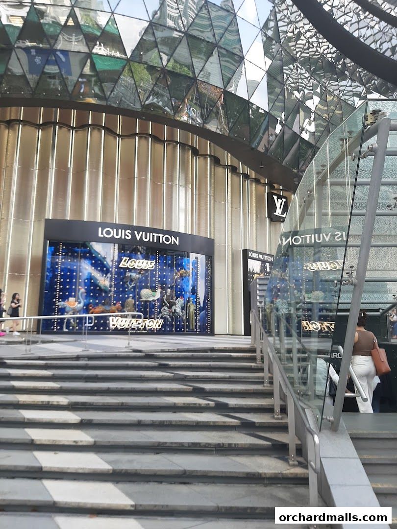 The Louis Vuitton store entrance with a display window and stairs leading up to it.