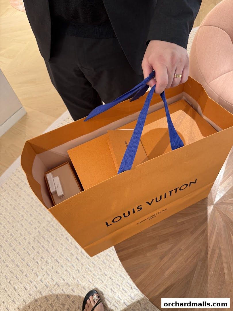 A person holds a Louis Vuitton shopping bag filled with purchases.