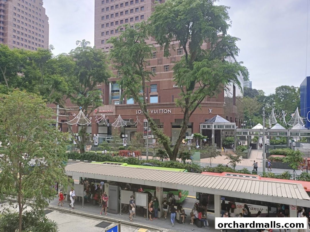 Louis Vuitton store front with trees and a bus stop in the foreground.