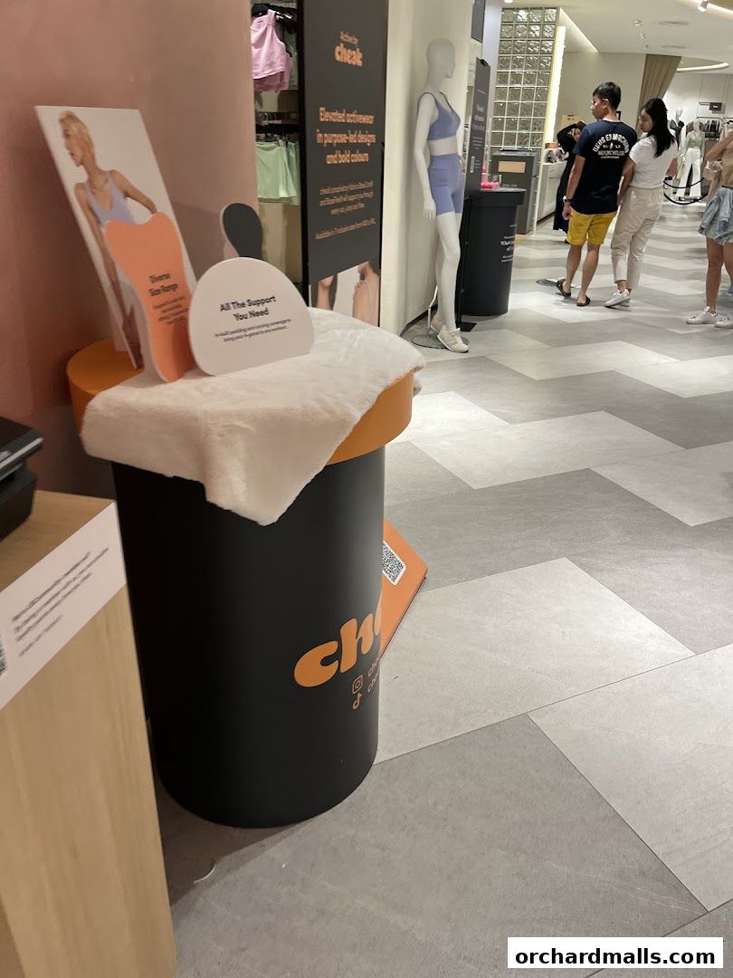 A display inside a clothing store featuring activewear and mannequins.