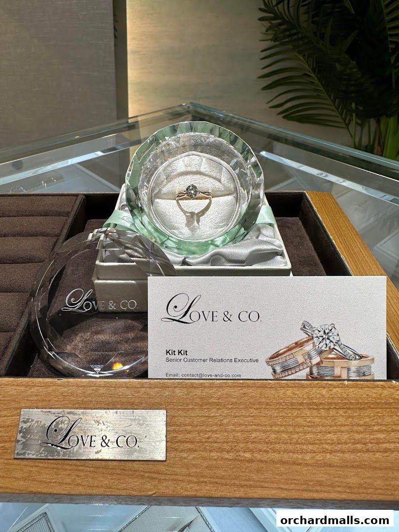 A display case featuring an engagement ring and wedding bands from Love & Co.