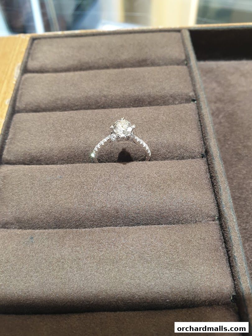 A close-up shot of a sparkling diamond engagement ring displayed in a velvet ring box.