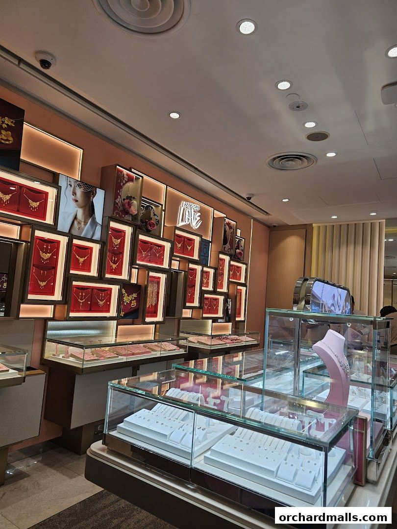 Interior of a jewelry store showcasing diamond rings and wedding bands in display cases.