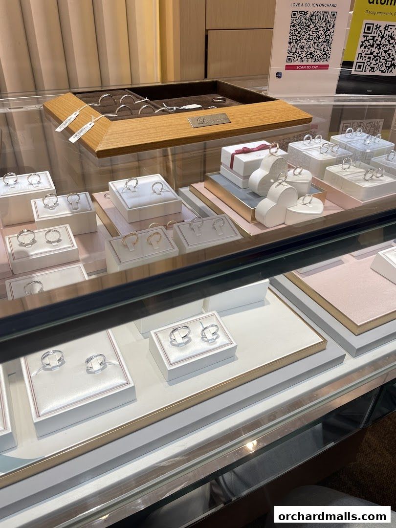 A display case filled with engagement rings and wedding bands from Love & Co.