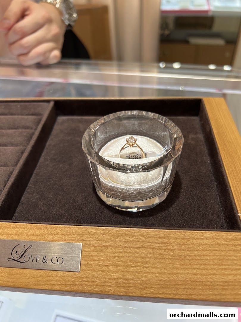A diamond engagement ring displayed in a glass holder at Love & Co.