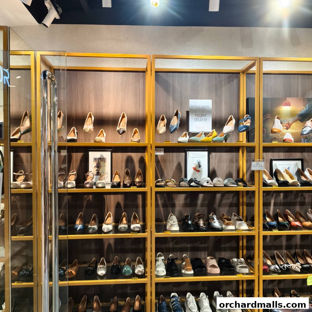 A well-lit shoe store display featuring a wide variety of women's footwear on shelves.