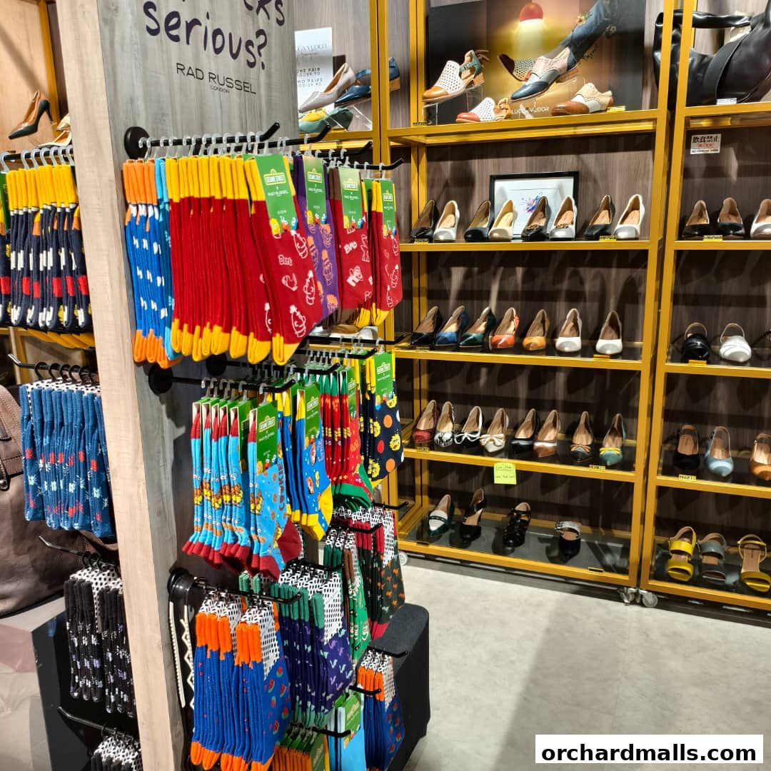 A retail shop displaying a wide variety of colorful socks and elegant shoes on shelves.