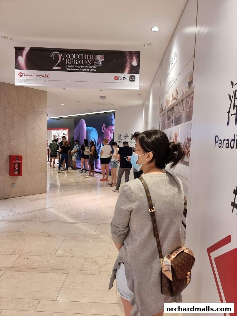 People queuing in a shopping mall hallway with promotional banners overhead.
