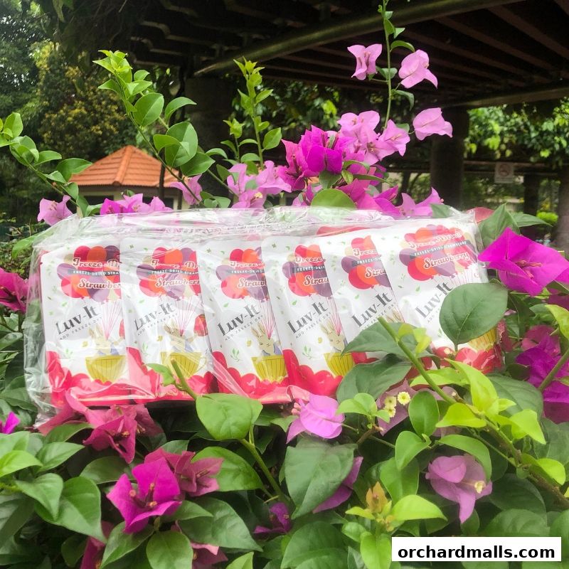 Luv-It Freeze-Dried Fruit ラビットフリーズドライフルーツ