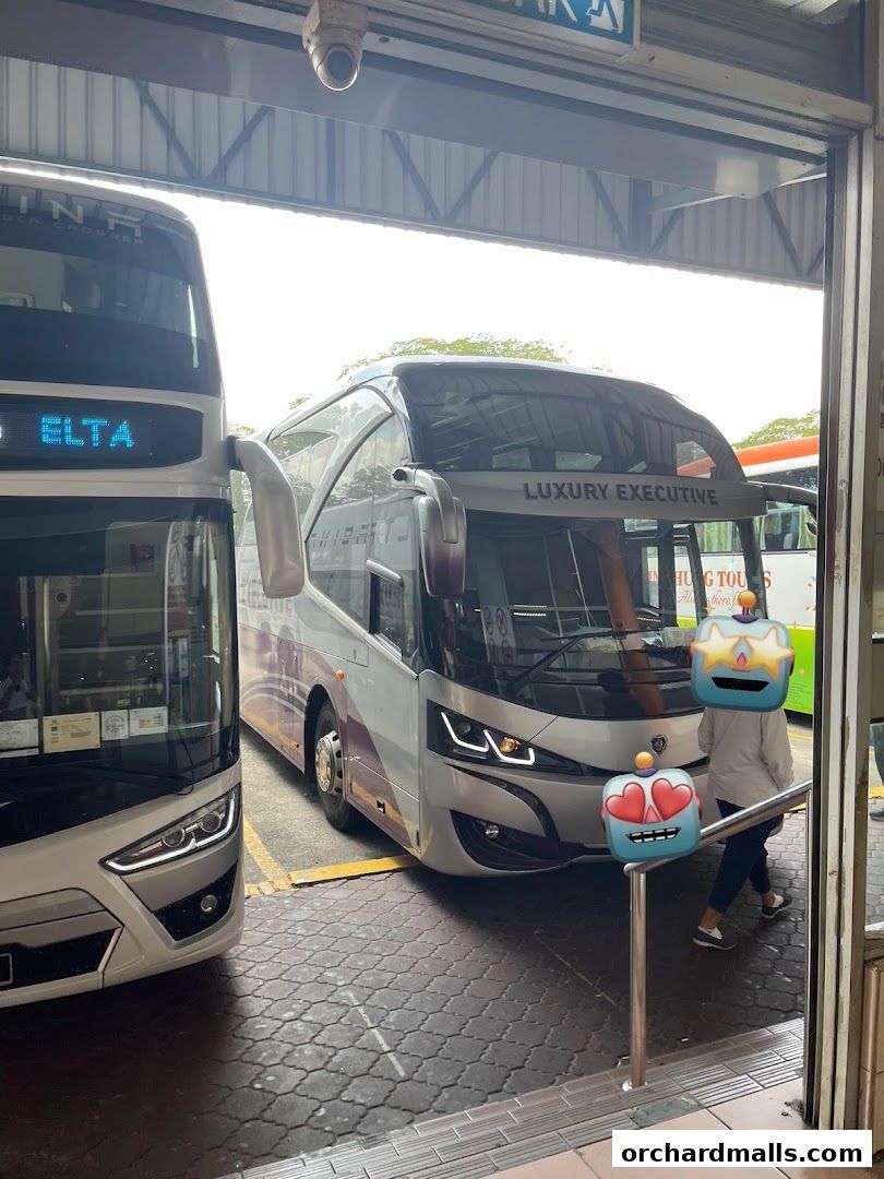 Two luxury buses parked at a terminal, one labeled 'LUXURY EXECUTIVE'.