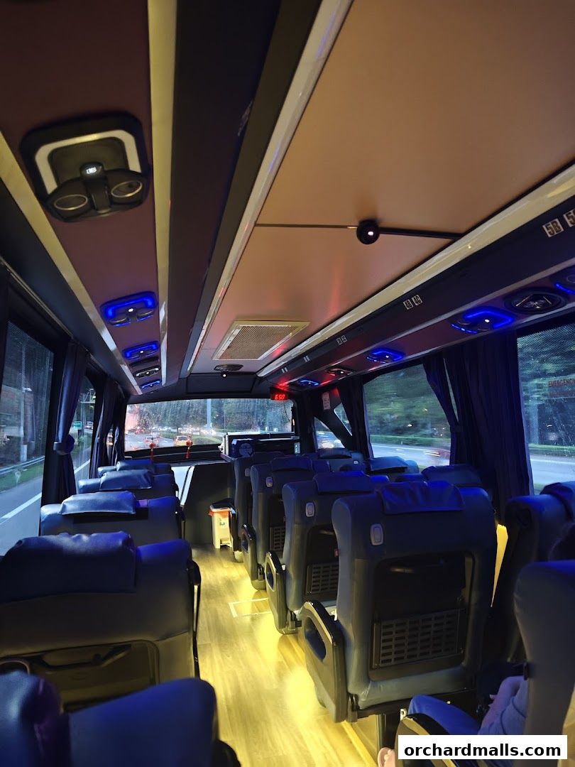 Interior view of a luxury coach bus with comfortable seating and ambient lighting.