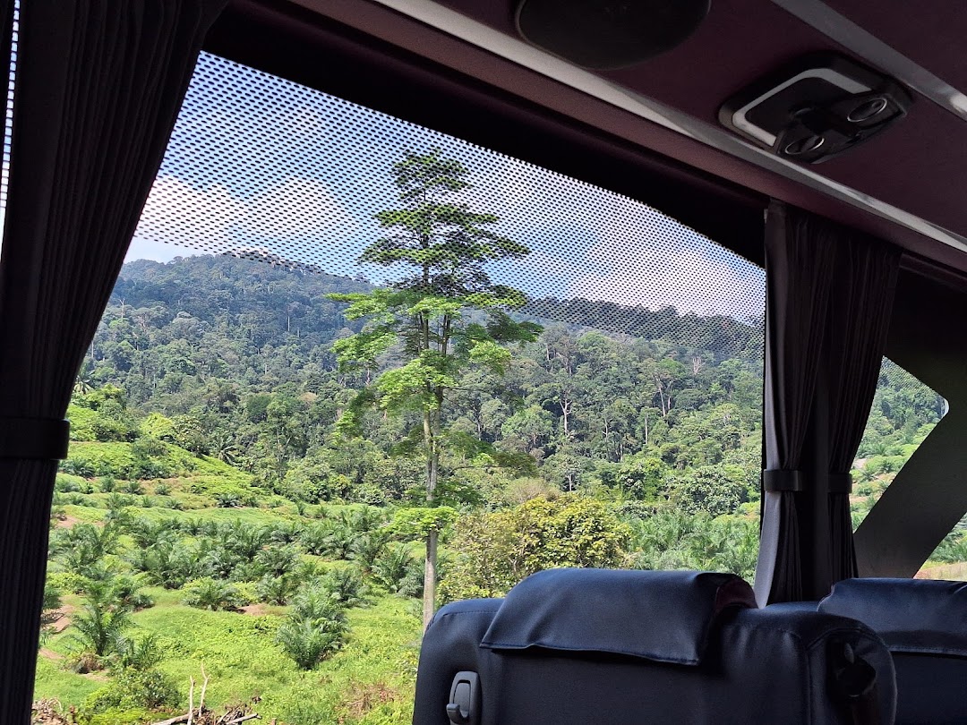 Luxury Coach Service