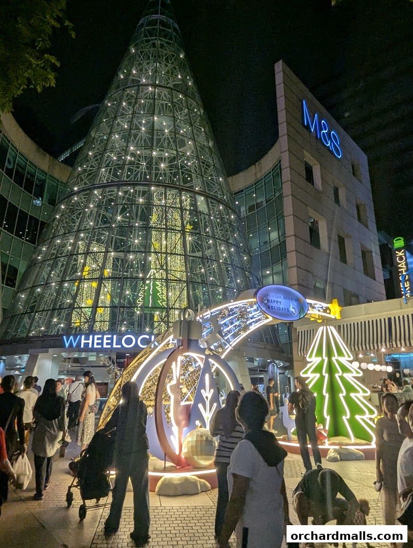 A nighttime view of a shopping mall entrance decorated for the holidays with a large Christmas tree.