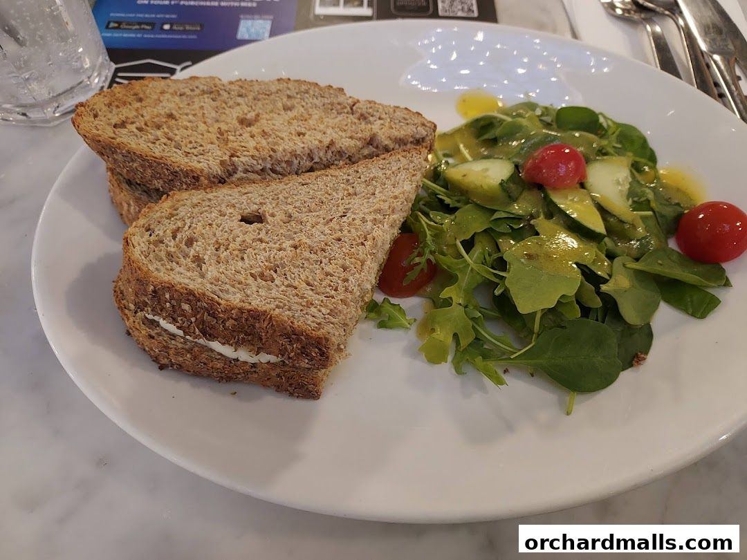 A plate with a sandwich and a side salad, served at MS Café.