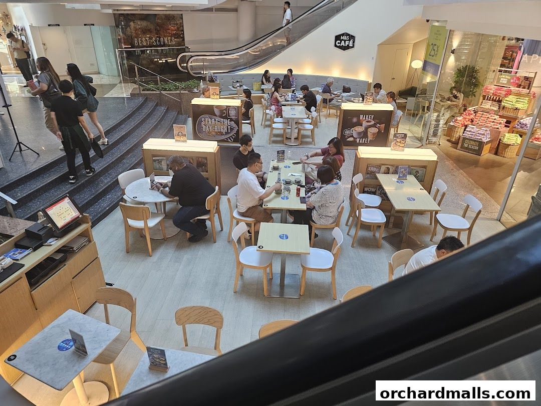 An overhead view of MS Café, a bustling coffee shop with patrons seated at tables.