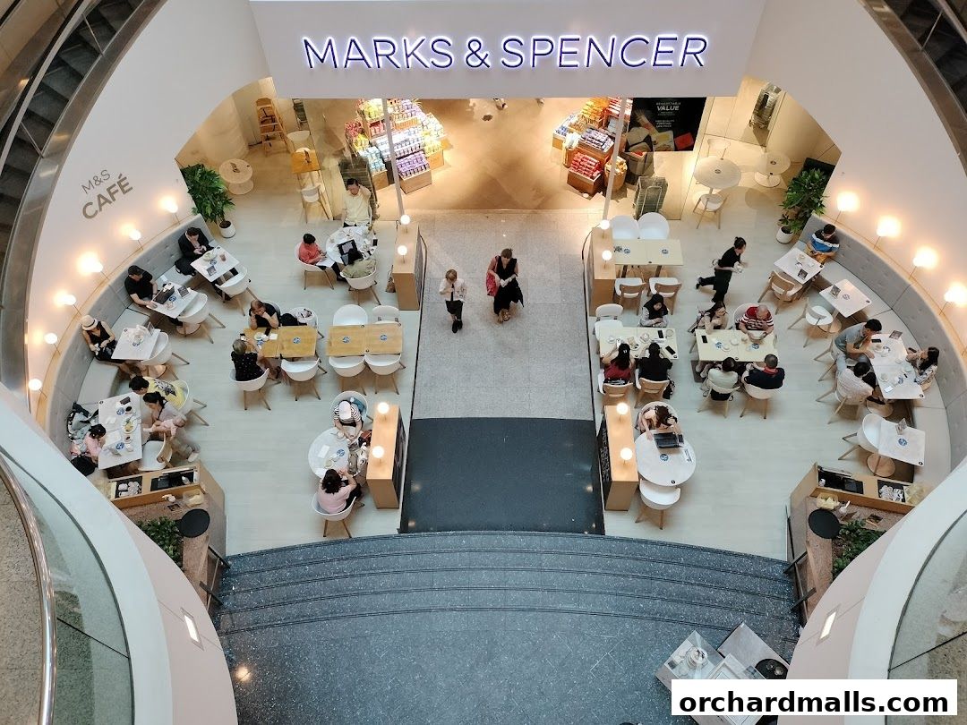 An aerial view of MS Cafe, a busy coffee shop with many patrons seated at tables.