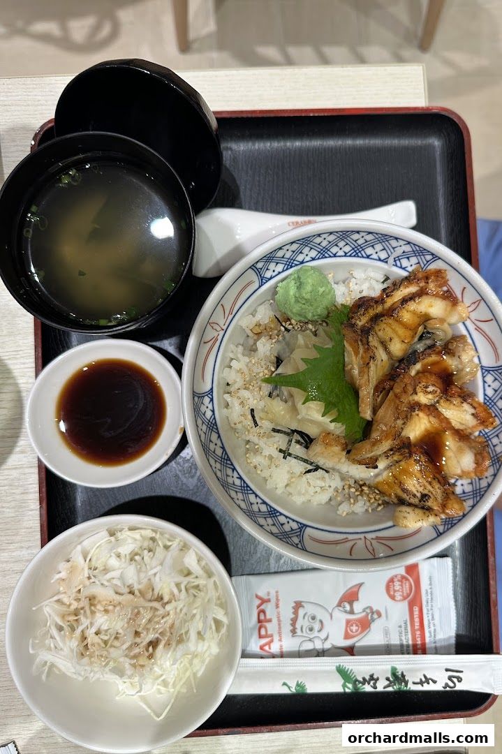 A delicious Japanese meal featuring grilled eel over rice, miso soup, and a side salad.
