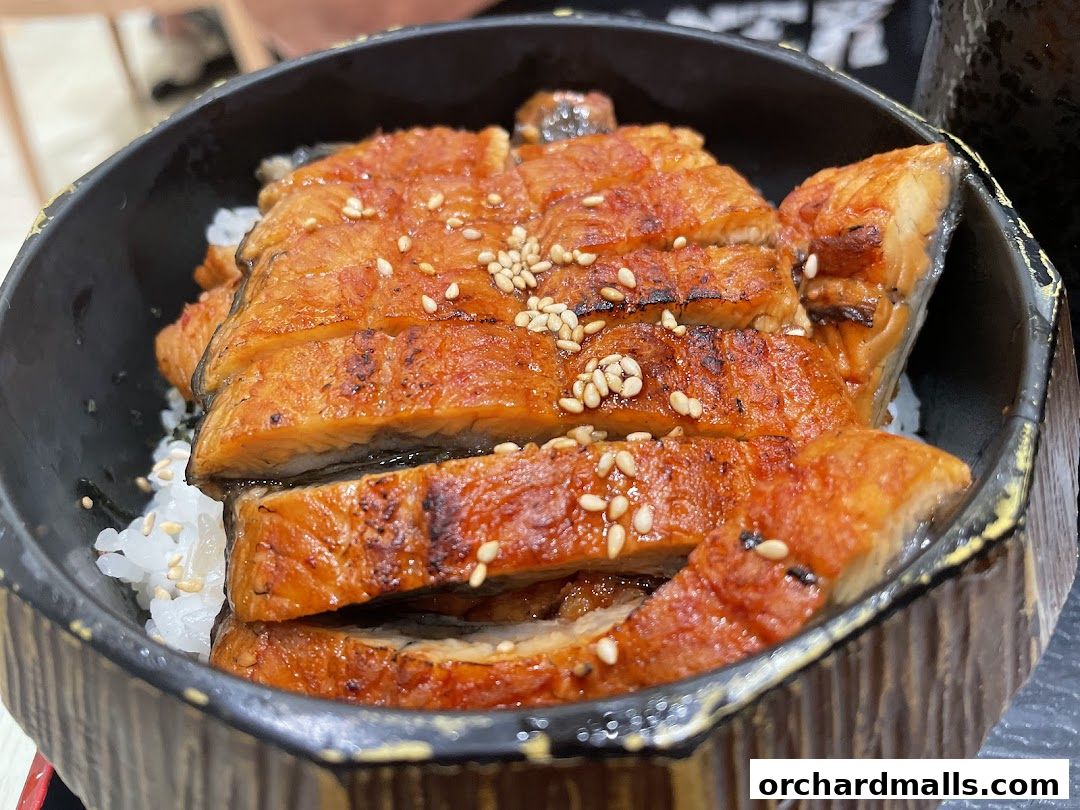 A close-up of a delicious unagi donburi dish with grilled eel over rice.